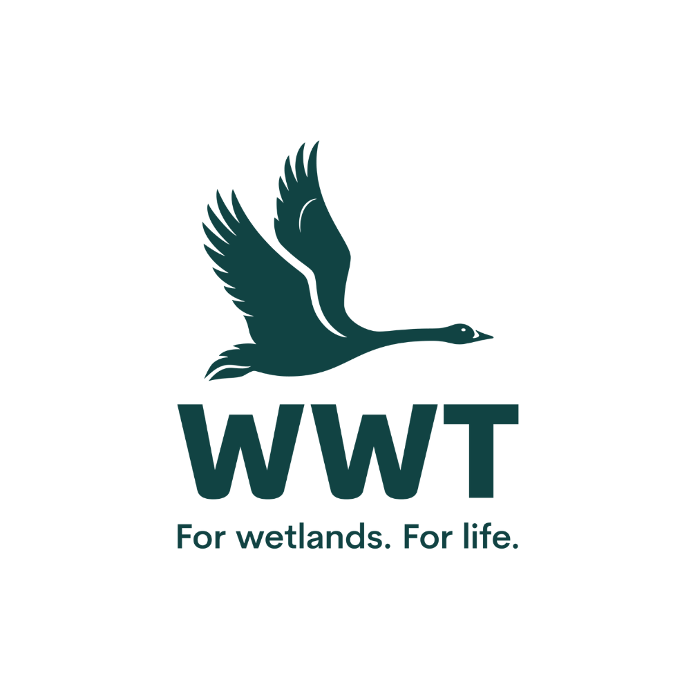 wwt logo